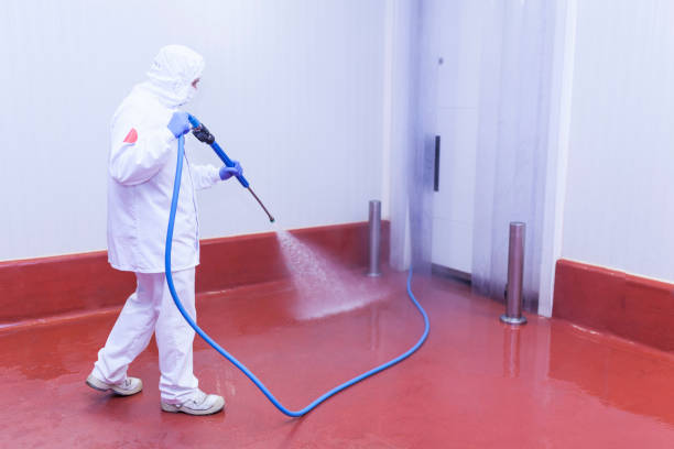 Best Roof Washing  in Sullivans Island, SC